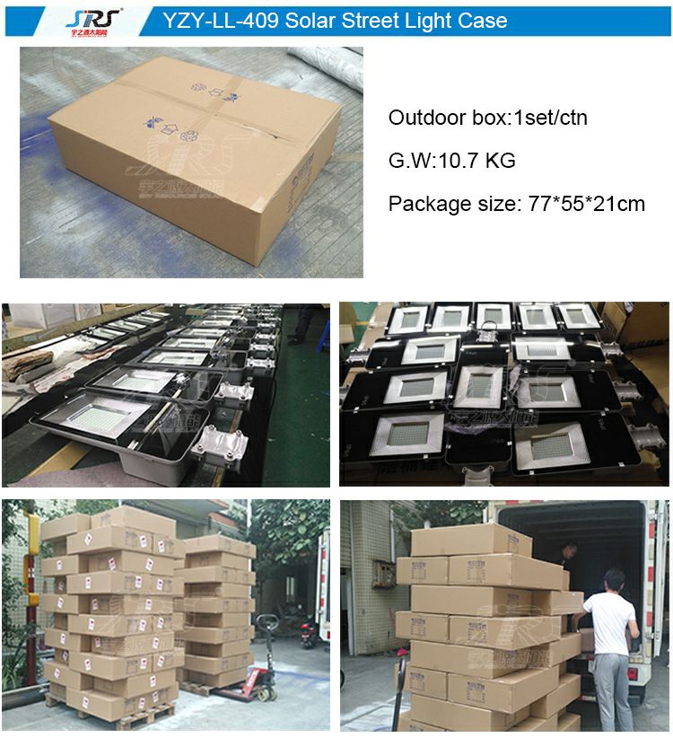 409 Dual body street lamp